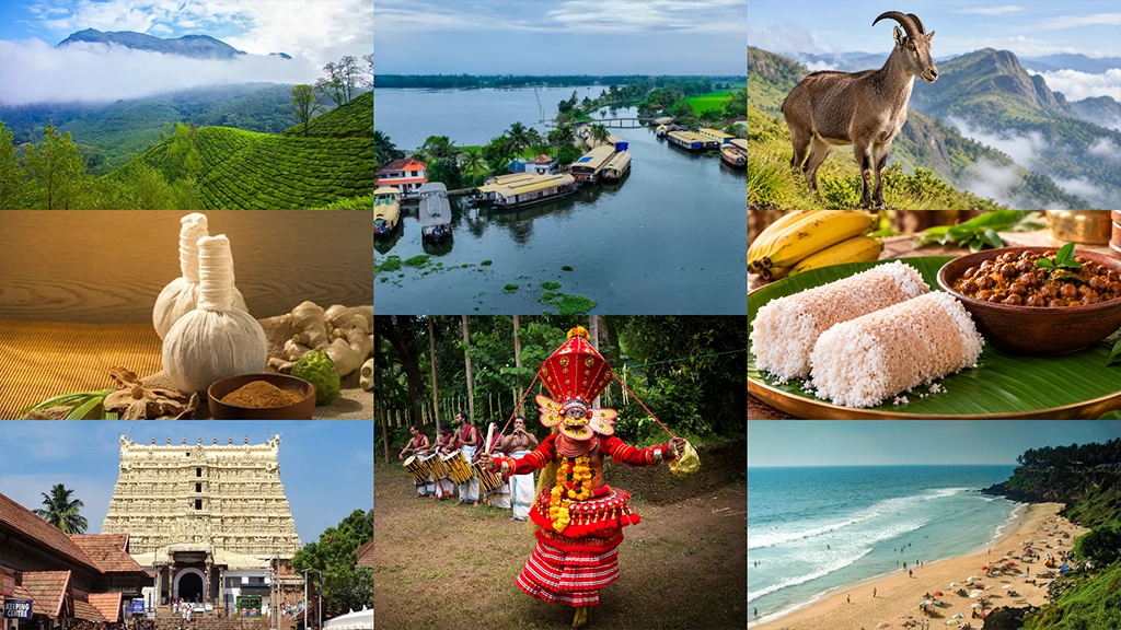 Kerala experiences - Hills, Backwaters, Wildlife, Beaches, Ayurveda, Artforms, Cuisine and more