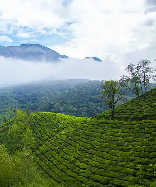 Munnar