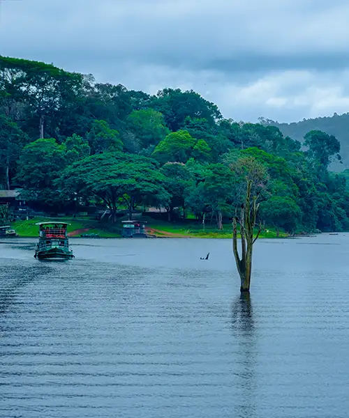 Thekkady