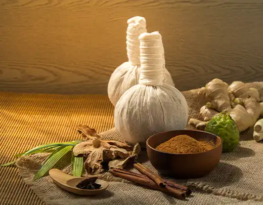 Kerala Ayurveda Packages