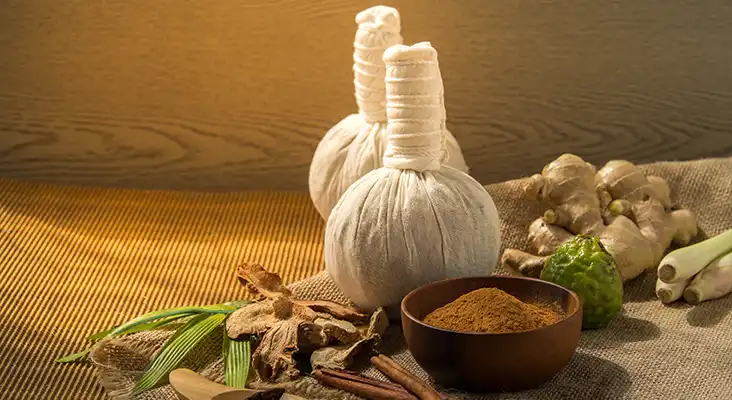 Kerala Ayurveda Packages